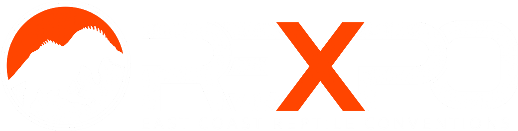 Project Z•REX Project Z•REX